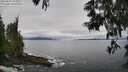 ./images/koeye/fitz-hugh/20250603/fitz-hugh20250603_104009M.jpg