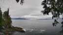 ./images/koeye/fitz-hugh/20250603/fitz-hugh20250603_104511M.jpg
