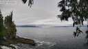 ./images/koeye/fitz-hugh/20250603/fitz-hugh20250603_105509M.jpg