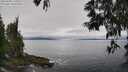 ./images/koeye/fitz-hugh/20250603/fitz-hugh20250603_110510M.jpg