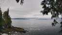 ./images/koeye/fitz-hugh/20250603/fitz-hugh20250603_111010M.jpg