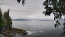 ./images/koeye/fitz-hugh/20250603/fitz-hugh20250603_111511M.jpg