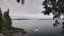 ./images/koeye/fitz-hugh/20250603/fitz-hugh20250603_113011M.jpg