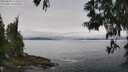 ./images/koeye/fitz-hugh/20250603/fitz-hugh20250603_113510M.jpg
