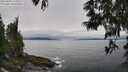 ./images/koeye/fitz-hugh/20250603/fitz-hugh20250603_114509M.jpg