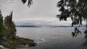 ./images/koeye/fitz-hugh/20250603/fitz-hugh20250603_115011M.jpg