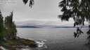 ./images/koeye/fitz-hugh/20250603/fitz-hugh20250603_115510M.jpg