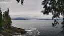 ./images/koeye/fitz-hugh/20250603/fitz-hugh20250603_120012M.jpg