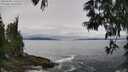 ./images/koeye/fitz-hugh/20250603/fitz-hugh20250603_120509M.jpg