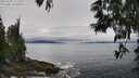 ./images/koeye/fitz-hugh/20250603/fitz-hugh20250603_121511M.jpg