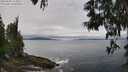 ./images/koeye/fitz-hugh/20250603/fitz-hugh20250603_123011M.jpg