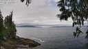 ./images/koeye/fitz-hugh/20250603/fitz-hugh20250603_123510M.jpg