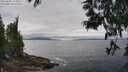 ./images/koeye/fitz-hugh/20250603/fitz-hugh20250603_124009M.jpg