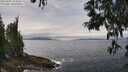 ./images/koeye/fitz-hugh/20250603/fitz-hugh20250603_124510M.jpg