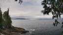 ./images/koeye/fitz-hugh/20250603/fitz-hugh20250603_125010M.jpg