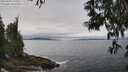 ./images/koeye/fitz-hugh/20250603/fitz-hugh20250603_125507M.jpg