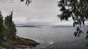 ./images/koeye/fitz-hugh/20250603/fitz-hugh20250603_130012M.jpg
