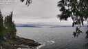 ./images/koeye/fitz-hugh/20250603/fitz-hugh20250603_131510M.jpg
