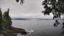 ./images/koeye/fitz-hugh/20250603/fitz-hugh20250603_132508M.jpg