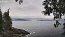 ./images/koeye/fitz-hugh/20250603/fitz-hugh20250603_133510M.jpg