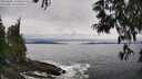 ./images/koeye/fitz-hugh/20250603/fitz-hugh20250603_134010M.jpg