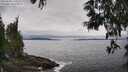 ./images/koeye/fitz-hugh/20250603/fitz-hugh20250603_134510M.jpg