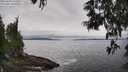 ./images/koeye/fitz-hugh/20250603/fitz-hugh20250603_135010M.jpg