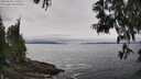 ./images/koeye/fitz-hugh/20250603/fitz-hugh20250603_135511M.jpg