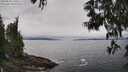 ./images/koeye/fitz-hugh/20250603/fitz-hugh20250603_140012M.jpg