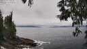./images/koeye/fitz-hugh/20250603/fitz-hugh20250603_140509M.jpg