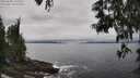 ./images/koeye/fitz-hugh/20250603/fitz-hugh20250603_141511M.jpg
