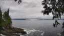 ./images/koeye/fitz-hugh/20250603/fitz-hugh20250603_142510M.jpg