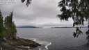 ./images/koeye/fitz-hugh/20250603/fitz-hugh20250603_143510M.jpg