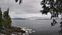 ./images/koeye/fitz-hugh/20250603/fitz-hugh20250603_144010M.jpg