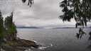 ./images/koeye/fitz-hugh/20250603/fitz-hugh20250603_145010M.jpg