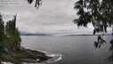 ./images/koeye/fitz-hugh/20250603/fitz-hugh20250603_145510M.jpg