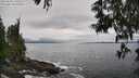 ./images/koeye/fitz-hugh/20250603/fitz-hugh20250603_150508M.jpg