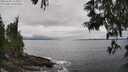 ./images/koeye/fitz-hugh/20250603/fitz-hugh20250603_151010M.jpg