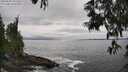 ./images/koeye/fitz-hugh/20250603/fitz-hugh20250603_151509M.jpg