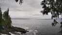 ./images/koeye/fitz-hugh/20250603/fitz-hugh20250603_152010M.jpg
