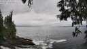 ./images/koeye/fitz-hugh/20250603/fitz-hugh20250603_152510M.jpg