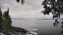 ./images/koeye/fitz-hugh/20250603/fitz-hugh20250603_153510M.jpg