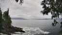 ./images/koeye/fitz-hugh/20250603/fitz-hugh20250603_154511M.jpg