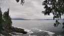 ./images/koeye/fitz-hugh/20250603/fitz-hugh20250603_155010M.jpg