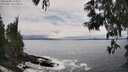 ./images/koeye/fitz-hugh/20250603/fitz-hugh20250603_160011M.jpg
