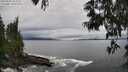 ./images/koeye/fitz-hugh/20250603/fitz-hugh20250603_162510M.jpg