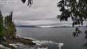 ./images/koeye/fitz-hugh/20250603/fitz-hugh20250603_163510M.jpg