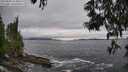 ./images/koeye/fitz-hugh/20250603/fitz-hugh20250603_164010M.jpg