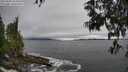 ./images/koeye/fitz-hugh/20250603/fitz-hugh20250603_165011M.jpg