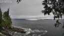 ./images/koeye/fitz-hugh/20250603/fitz-hugh20250603_165510M.jpg